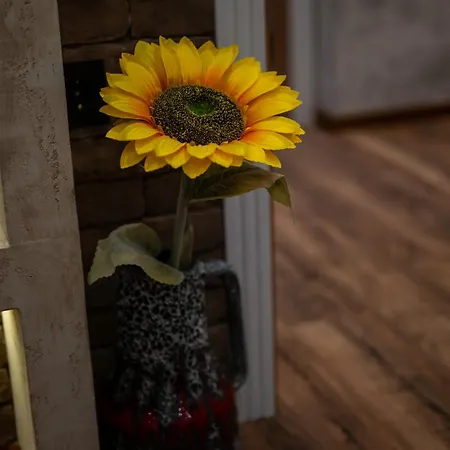 Ryo Golden Imperial 1 Apartmán *