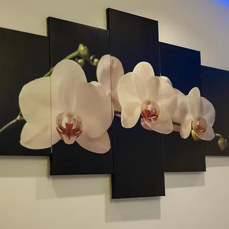 Ryo Golden Imperial 1 *